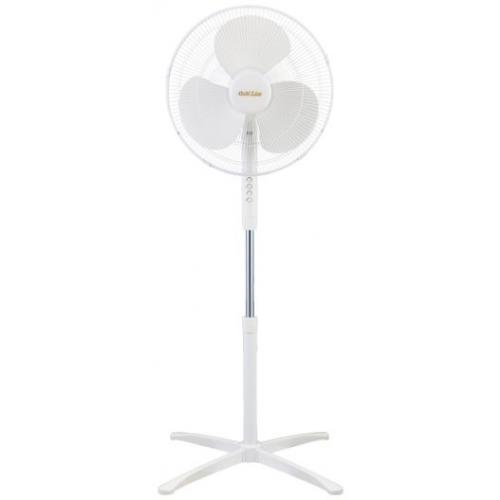 אונליין   16  3    Gold Line