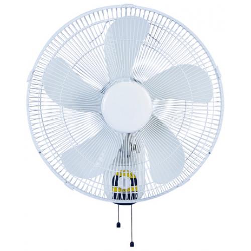 אונליין   18  3  Gold Line ATL-1906-18W