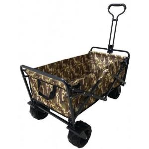 אונליין  /   Camp&Go -