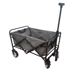 אונליין        -