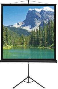 מסך חצובה למקרן 136'' 244X244 ס''מ SINOSCREEN