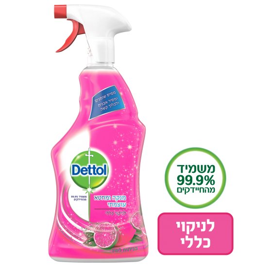 תרסיס מנקה ומחטא עוצמתי Dettol בניחוח רימונים וליים  - נפח 750 מ''ל