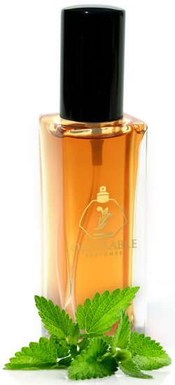 בושם לגבר 50 מ''ל Odorable Perfumes Odorable Man או דה פרפיום E.D.P + דוגמית 2 מ"ל במתנה