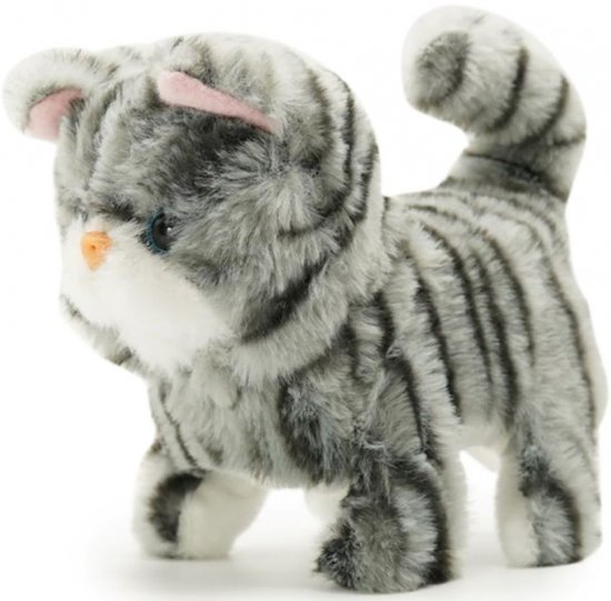 זואי החתולה הולכת ומייללת מבית Pugs At Play