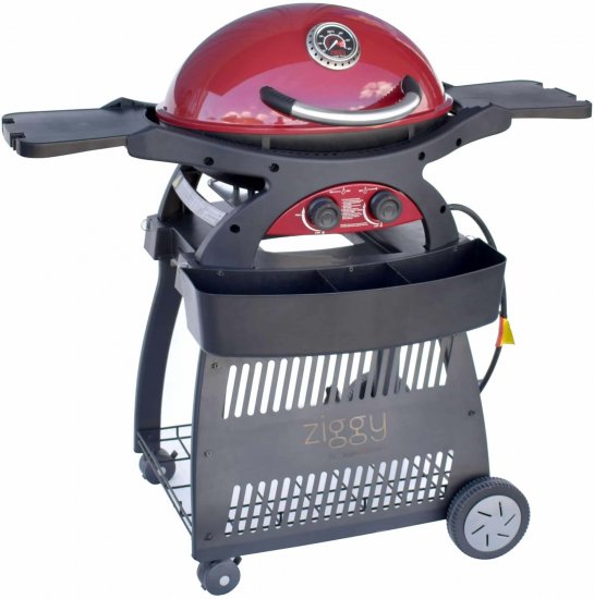 גריל גז היברידי עם עגלה קבועה 17