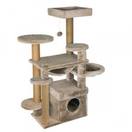 מגרדת ג'ונגל