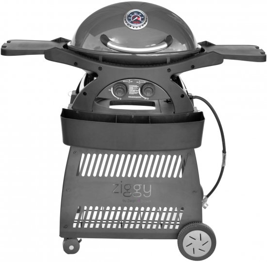 גריל גז היברידי עם עגלה קבועה 17