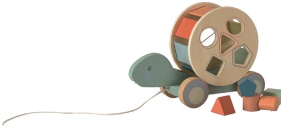 צעצוע צב - משוך וסע מבית Egmont