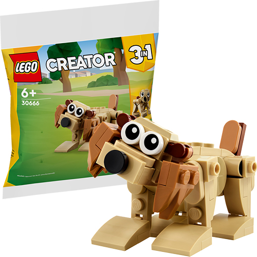 בעלי חיים 30666 LEGO Creator 3 in 1