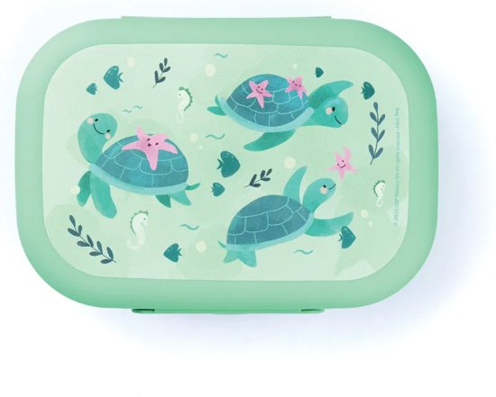 קופסת אוכל לילדים דגם Sealife דגם צב מבית amuse - צבע ירוק
