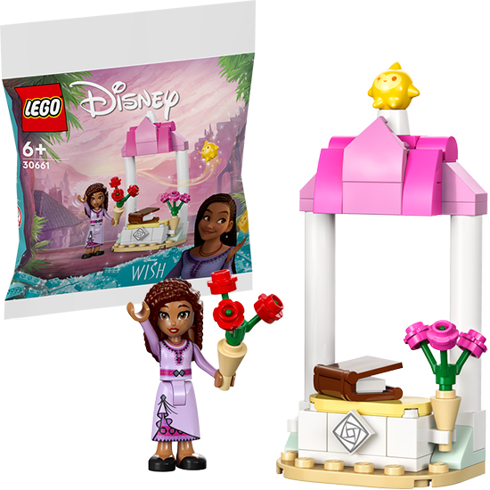 תא קבלת הפנים של אשה LEGO Disney 30661
