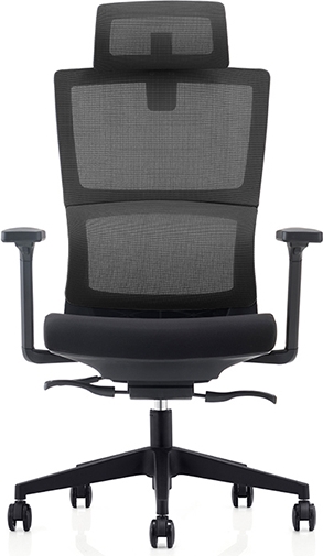כסא מנהלים ארגונומי ואורתופדי מתכוונן דגם BackCare מבית Fizzio - צבע שחור