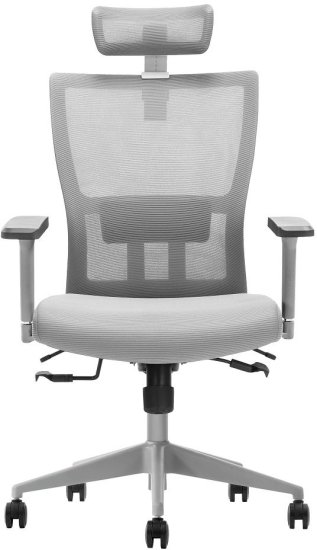 כיסא אורטופדי פרימיום ארגונומי מתכוונן עם תומך ראש דגם Inbar מבית Ergotop - צבע אפור