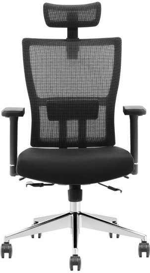 כיסא אורטופדי פרימיום ארגונומי מתכוונן עם תומך ראש דגם Inbar מבית Ergotop - צבע שחור
