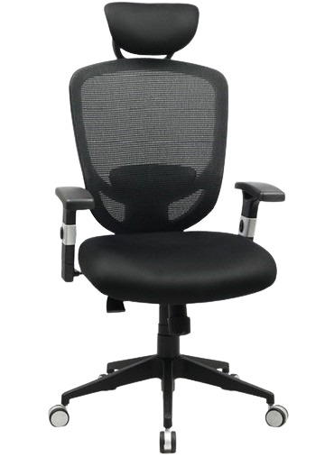 כסא מנהלים ארגונומי ואורתופדי מתכוונן דגם Story מבית Fizzio - צבע שחור