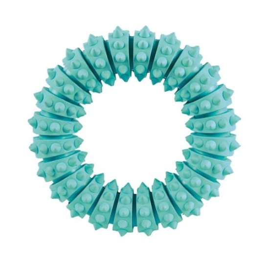 טריקסי טבעת דנטלית מנטה – 12 ס"מ