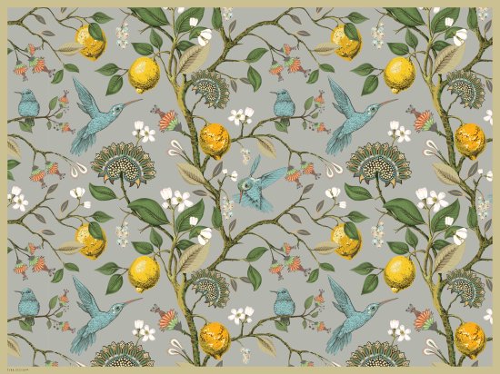 שטיח PVC דגם Hummingbird מבית Tiva Design - מידה 60x80 ס''מ